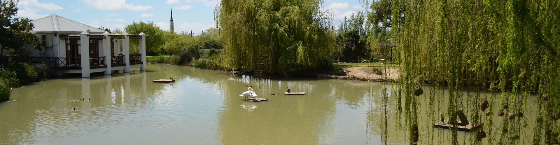 High Praise from Ridgeback