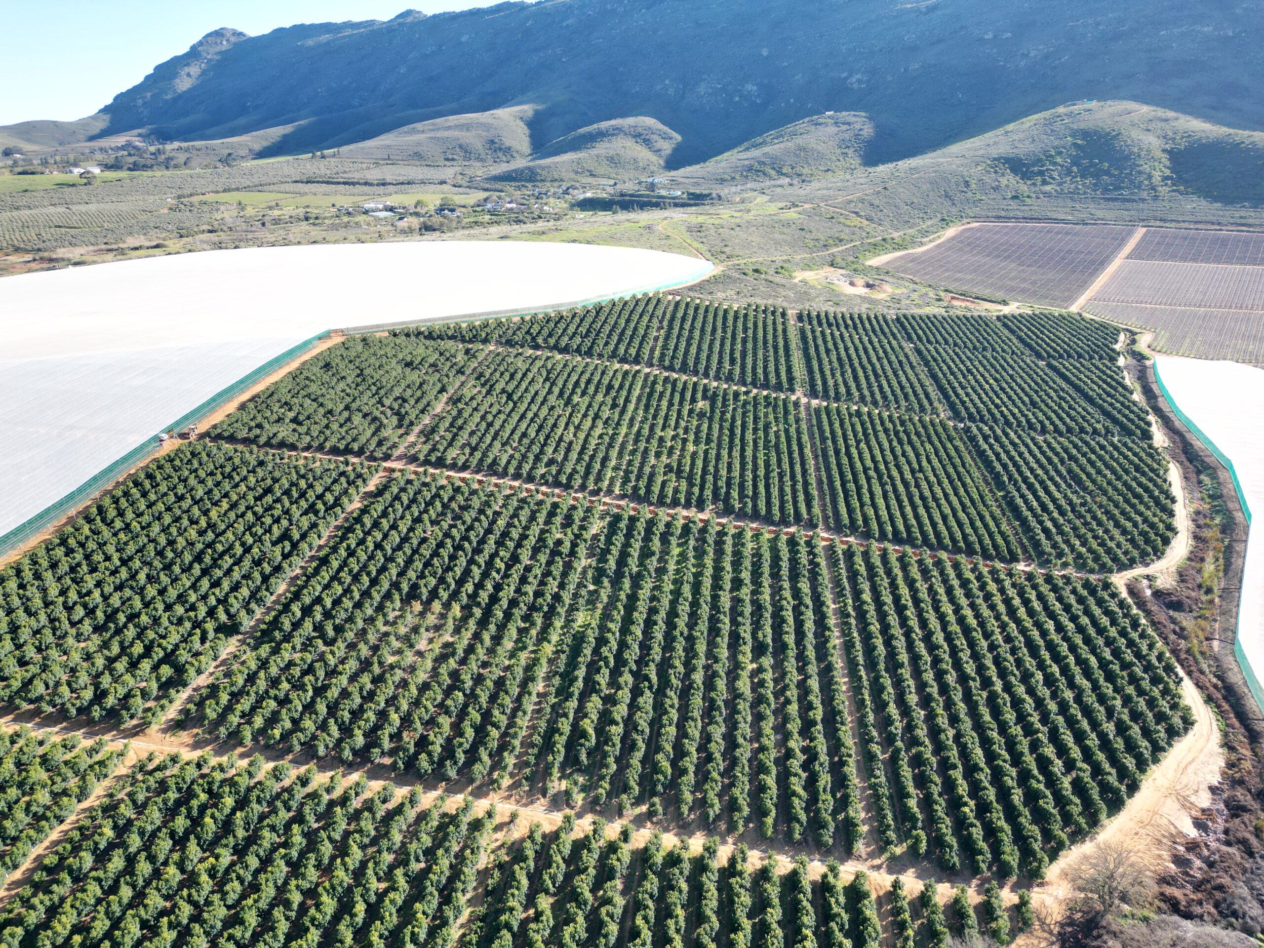 ‘Soil batteries’: Solar power could one day be stored in the ground beneath our feet