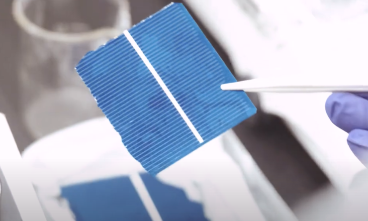 GREEN TURNS OUT TO BE REALLY GREEN